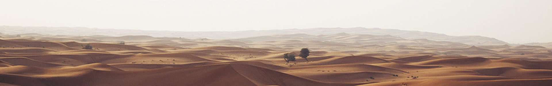 ݺƼ޹˾